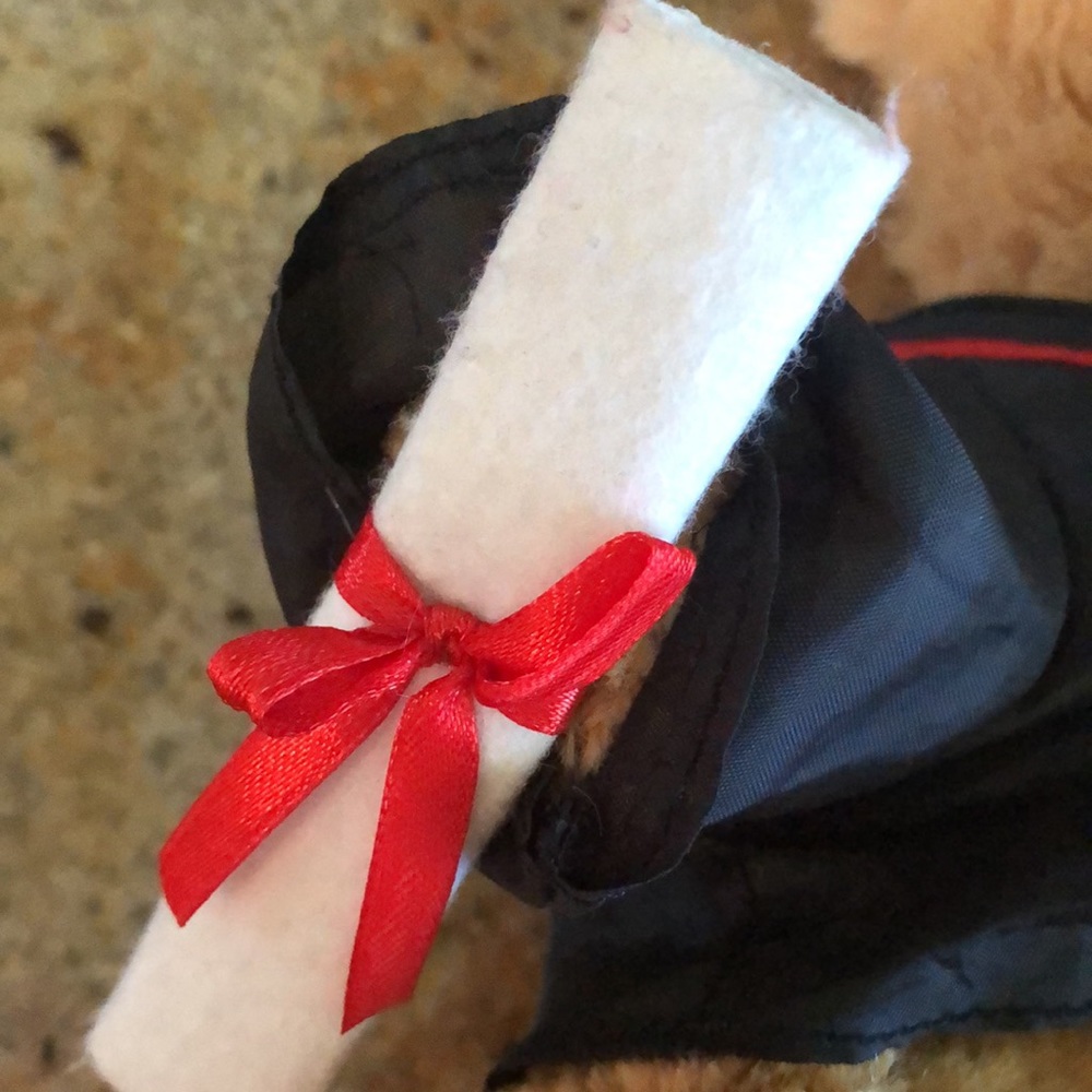 Graduation Bear! - Picture 9 of 10